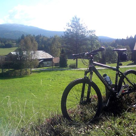Ferienhaus Mit Seeblick Waldkirchen Bagian luar foto