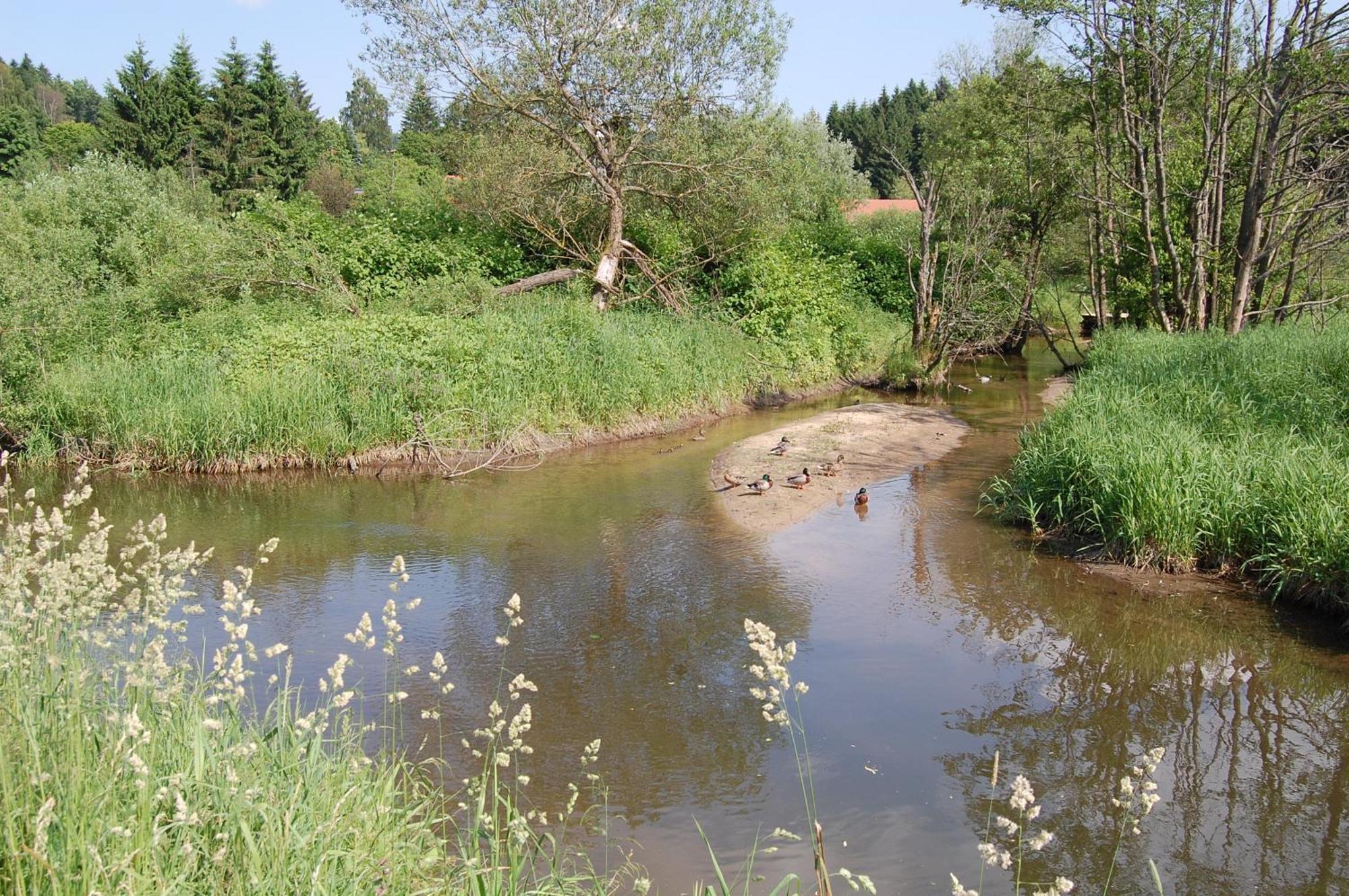 Ferienhaus Mit Seeblick Waldkirchen Bagian luar foto